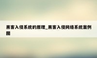 黑客入侵系统的原理_黑客入侵网络系统案例图