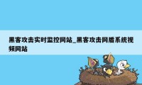 黑客攻击实时监控网站_黑客攻击网盾系统视频网站