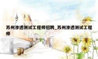 苏州渗透测试工程师招聘_苏州渗透测试工程师