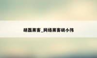 胡磊黑客_网络黑客胡小伟