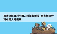 黑客组织针对中国人吗视频播放_黑客组织针对中国人吗视频