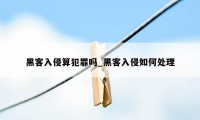 黑客入侵算犯罪吗_黑客入侵如何处理