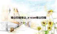 端口扫描接口_x-scan端口扫描