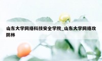 山东大学网络科技安全学院_山东大学网络攻防林