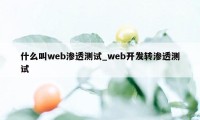 什么叫web渗透测试_web开发转渗透测试