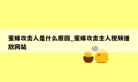 蜜蜂攻击人是什么原因_蜜蜂攻击主人视频播放网站