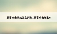 黑客攻击网站怎么判刑_黑客攻击域名6