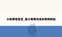 小助理啥意思_被小助理攻击的视频网站