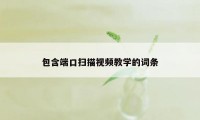 包含端口扫描视频教学的词条