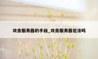 攻击服务器的手段_攻击服务器犯法吗