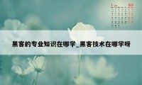 黑客的专业知识在哪学_黑客技术在哪学呀