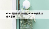 ddos是什么网络攻击_ddos攻击线路什么意思