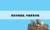 黑客白帽是指_中国黑客白帽