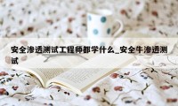 安全渗透测试工程师都学什么_安全牛渗透测试