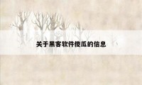 关于黑客软件傻瓜的信息