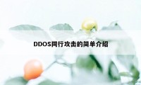 DDOS同行攻击的简单介绍