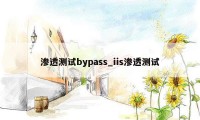 渗透测试bypass_iis渗透测试