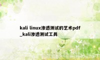 kali linux渗透测试的艺术pdf_kali渗透测试工具