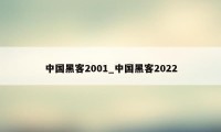 中国黑客2001_中国黑客2022