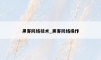 黑客网络技术_黑客网络操作