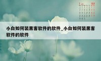 小白如何装黑客软件的软件_小白如何装黑客软件的软件