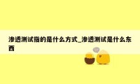 渗透测试指的是什么方式_渗透测试是什么东西