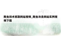 爬虫技术抓取网站视频_爬虫攻击网站实例视频下载