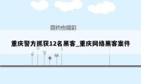 重庆警方抓获12名黑客_重庆网络黑客案件