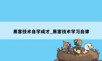 黑客技术自学成才_黑客技术学习自律