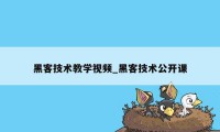 黑客技术教学视频_黑客技术公开课