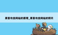 黑客攻击网站的原理_黑客攻击网站的照片