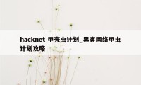 hacknet 甲壳虫计划_黑客网络甲虫计划攻略