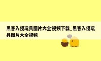 黑客入侵玩具图片大全视频下载_黑客入侵玩具图片大全视频