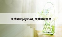 渗透测试payload_渗透测试爬虫