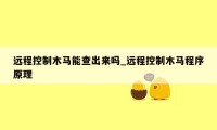 远程控制木马能查出来吗_远程控制木马程序原理