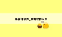 黑客件软件_黑客软件火牛