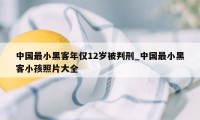 中国最小黑客年仅12岁被判刑_中国最小黑客小孩照片大全