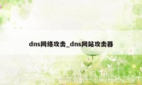 dns网络攻击_dns网站攻击器