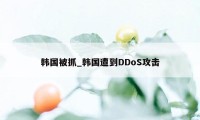 韩国被抓_韩国遭到DDoS攻击