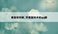 黑客软件群_学黑客技术的qq群