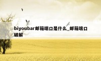 biyoubar邮箱端口是什么_邮箱端口破解