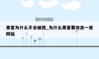 黑客为什么不会被抓_为什么黑客要攻击一些网站