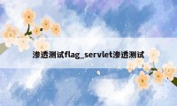 渗透测试flag_servlet渗透测试