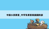 中国小孩黑客_中学生黑客美国国防部