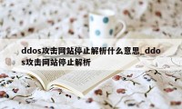 ddos攻击网站停止解析什么意思_ddos攻击网站停止解析