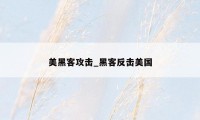 美黑客攻击_黑客反击美国