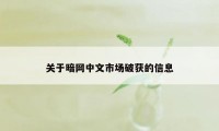 关于暗网中文市场破获的信息