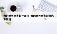 我的世界黑客长什么样_我的世界黑客制造汽车教程