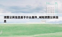 泄露公民信息属于什么案件_城阳泄露公民信息