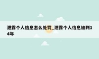 泄露个人信息怎么处罚_泄露个人信息被判14年